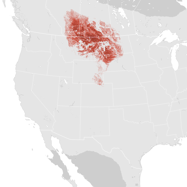 Abundance Map