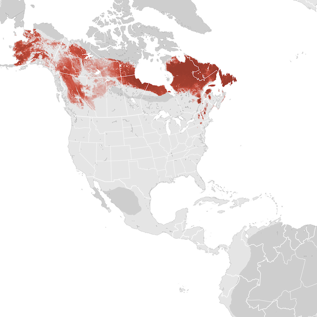 Abundance Map