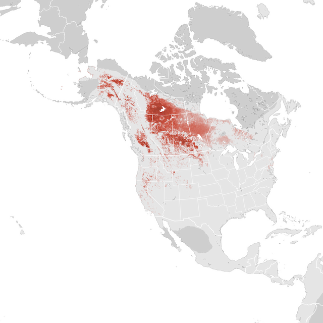 Abundance Map