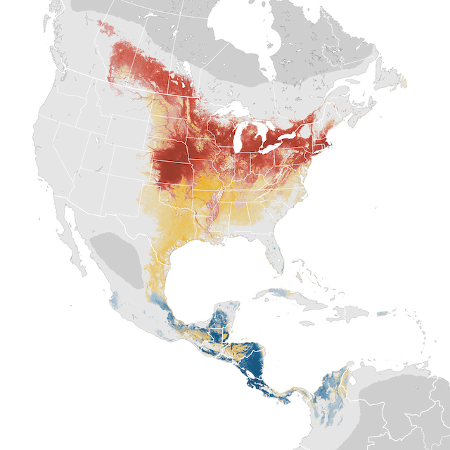 Abundance Map