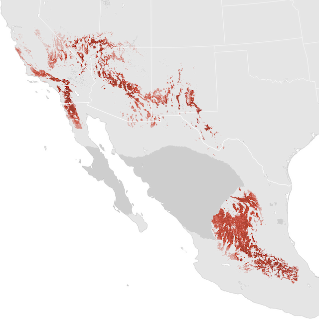 Abundance Map