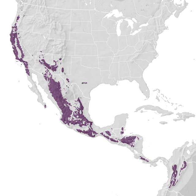 Range Map