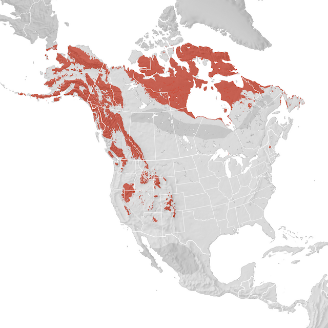 Range Map