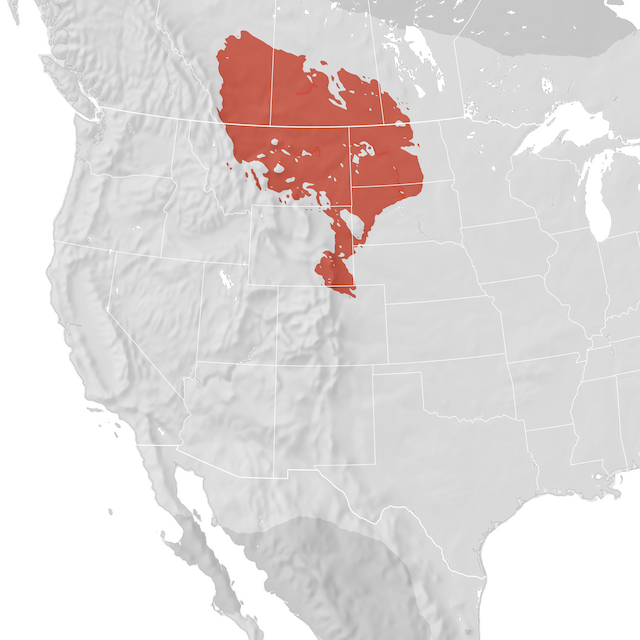 Range Map