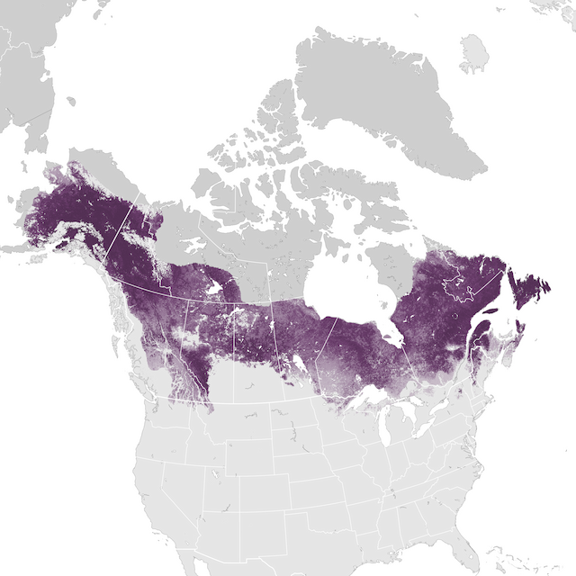 Abundance Map