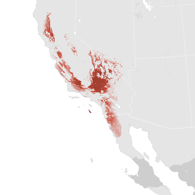Abundance Map