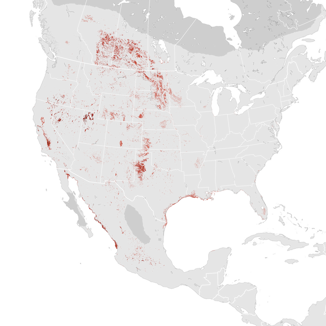 Abundance Map
