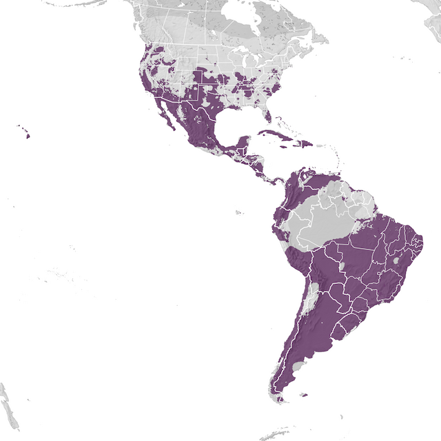 Range Map