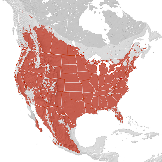 Range Map