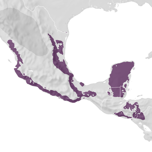 Range Map