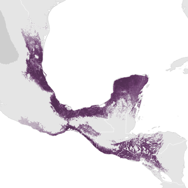 Abundance Map