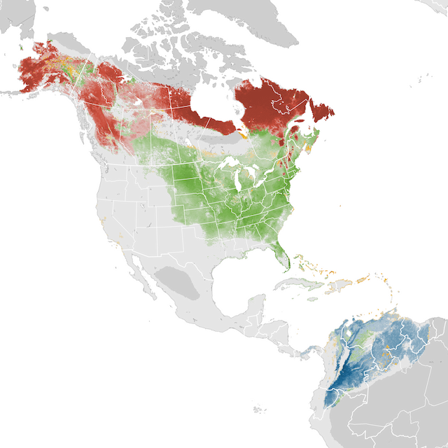 Mapa de abundancia