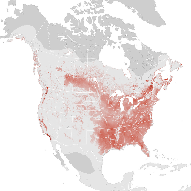 Abundance Map