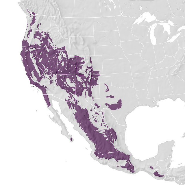 Range Map