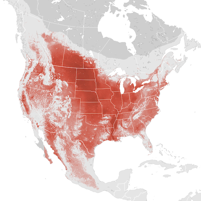 Abundance Map