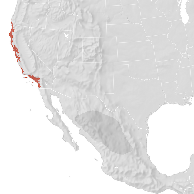 Range Map