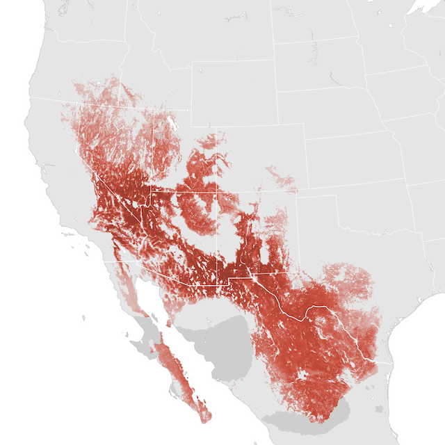Abundance Map