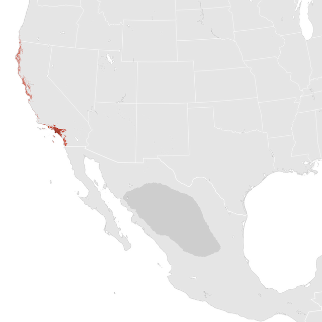 Abundance Map