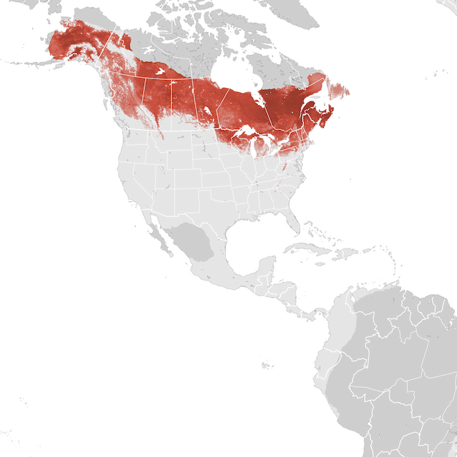 Abundance Map