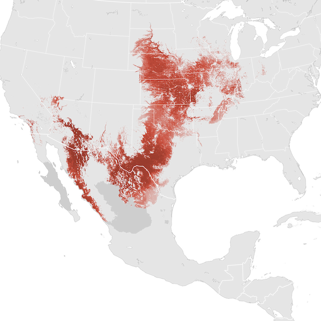 Abundance Map