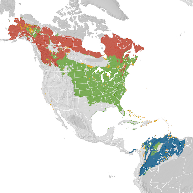 Mapa de rango