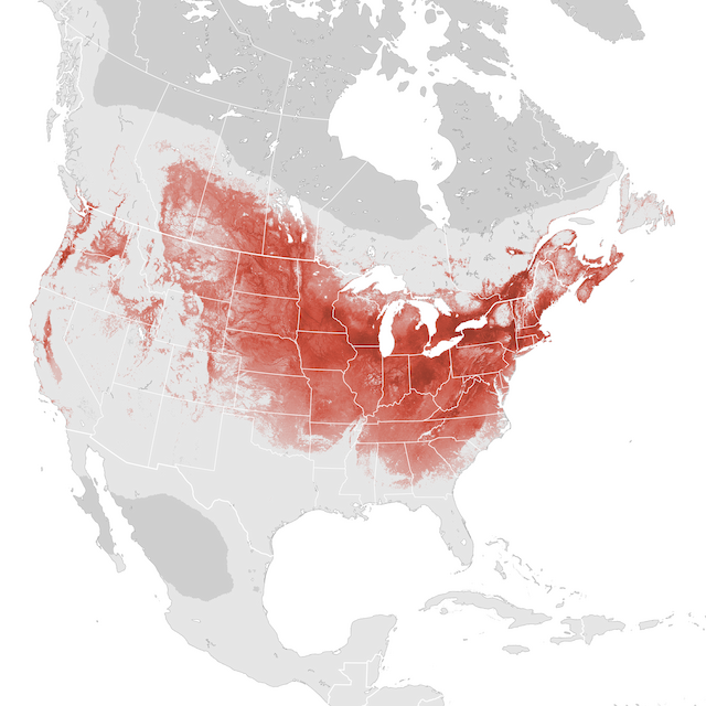 Abundance Map