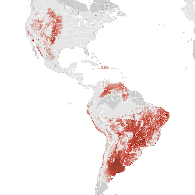 Abundance Map