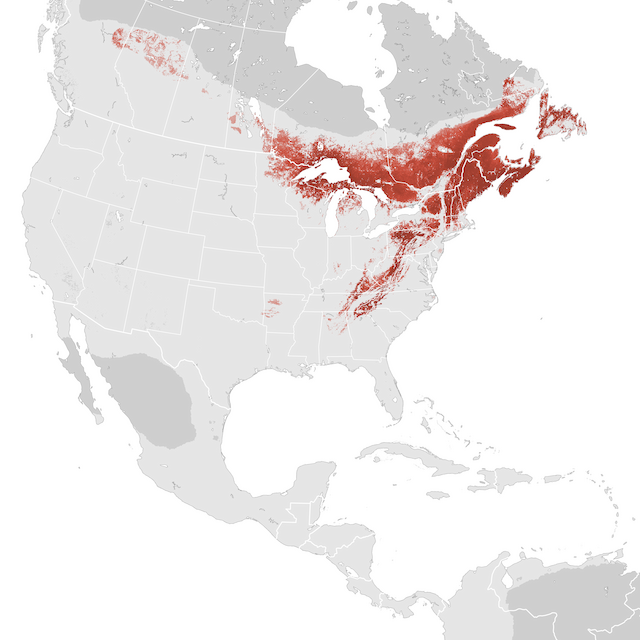 Abundance Map