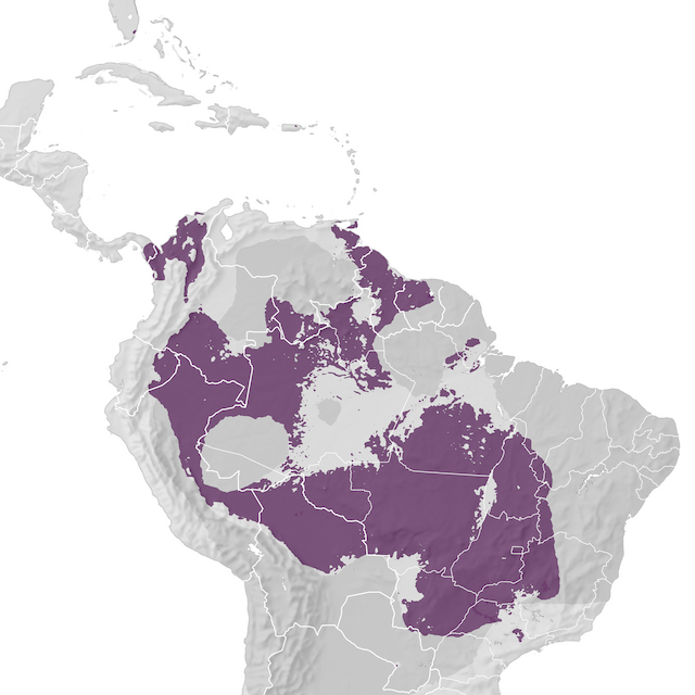 Range Map