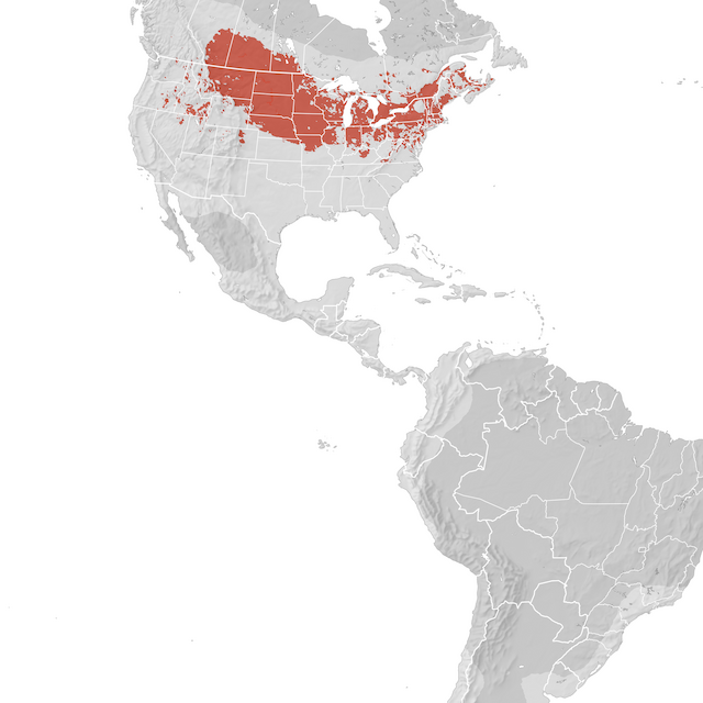 Range Map