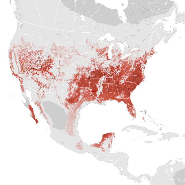 Abundance Map