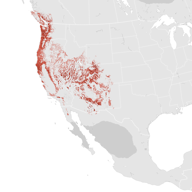 Abundance Map