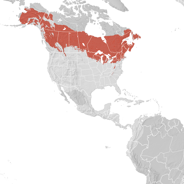 Range Map
