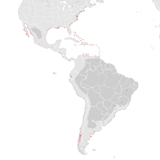 Abundance Map