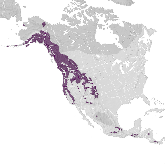 Range Map
