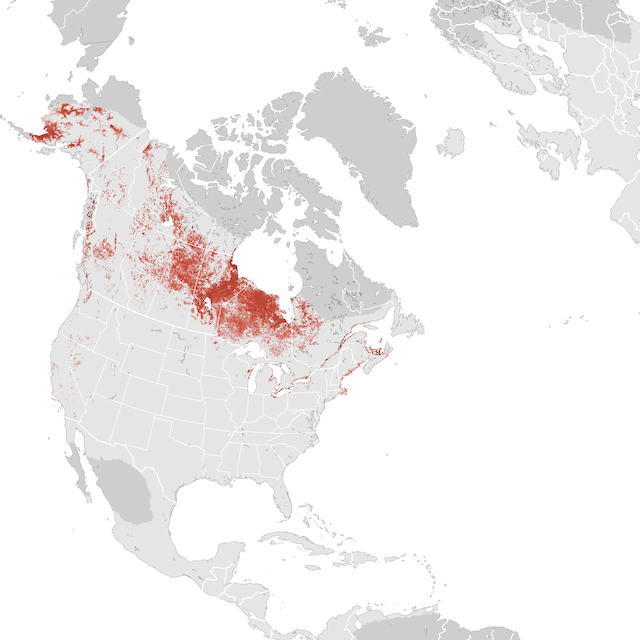 Abundance Map