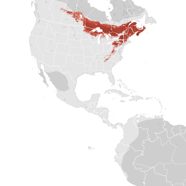 Abundance Map