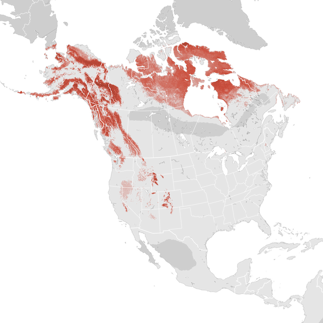 Abundance Map