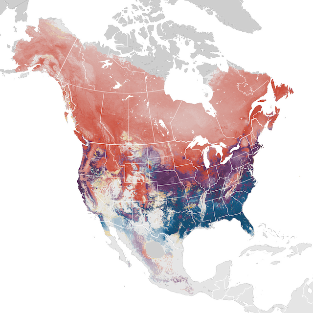 Abundance Map