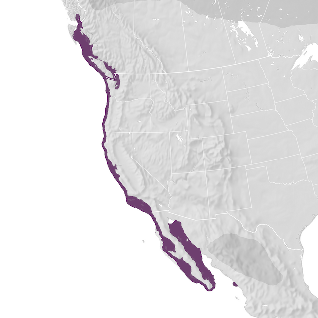 Range Map