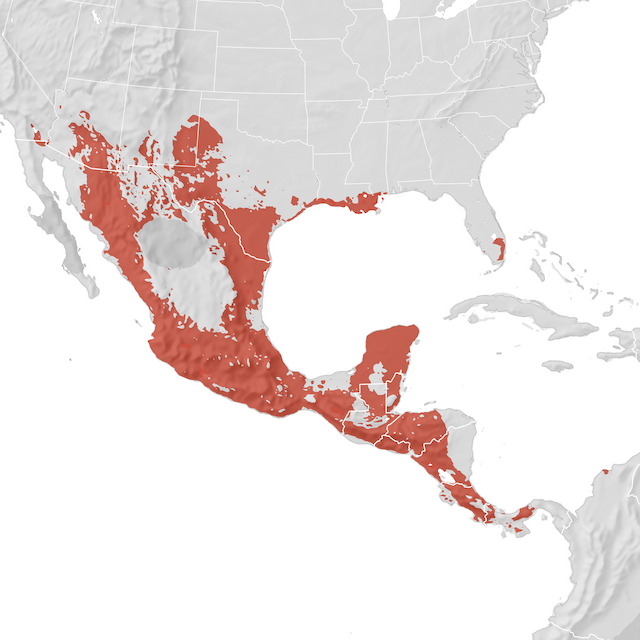 Range Map