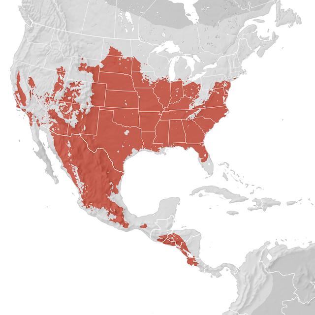 Range Map
