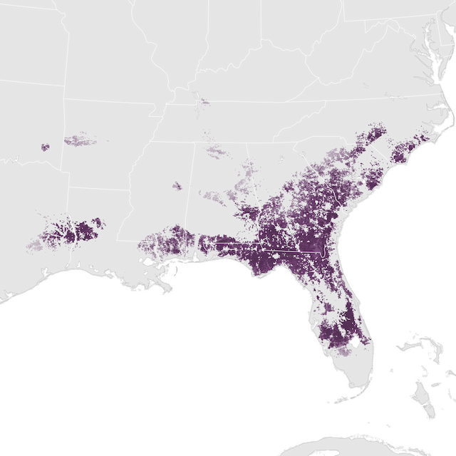 Abundance Map