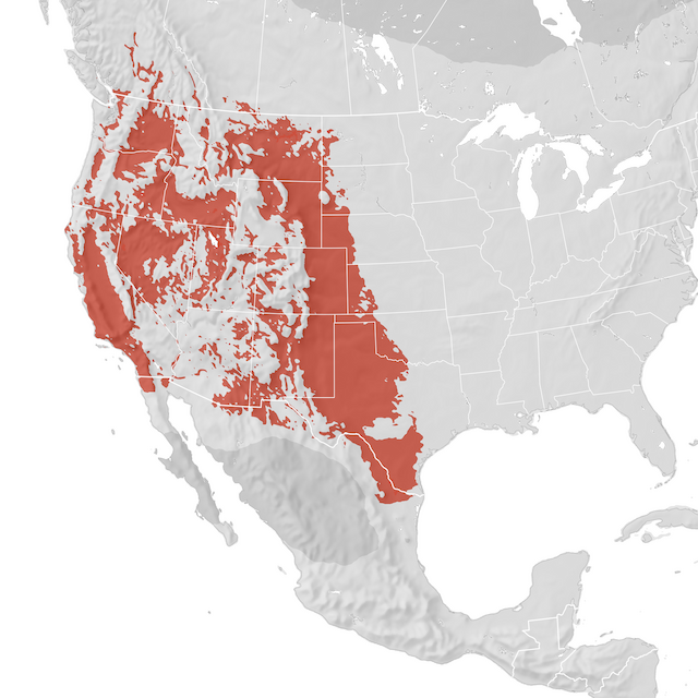 Range Map