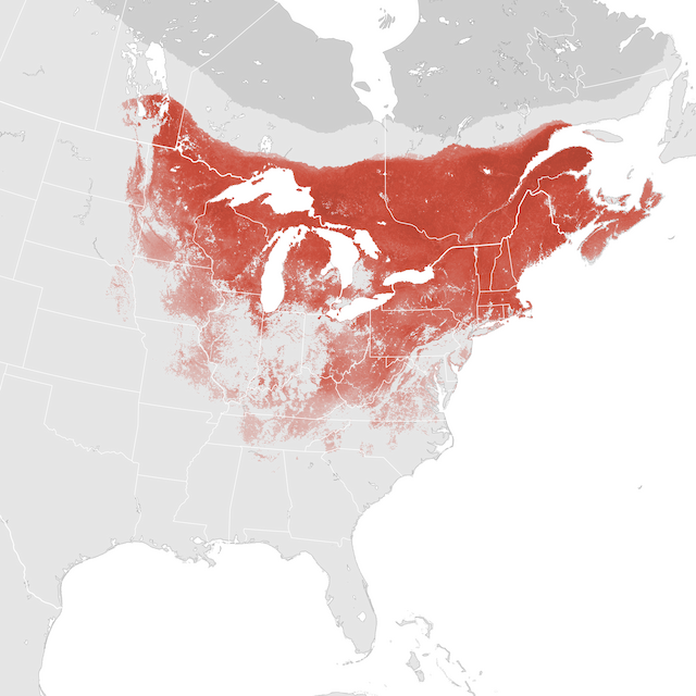 Abundance Map
