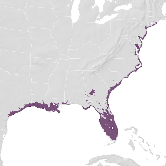Range Map