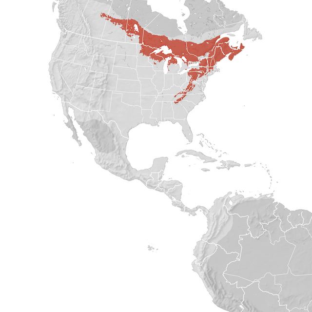Range Map