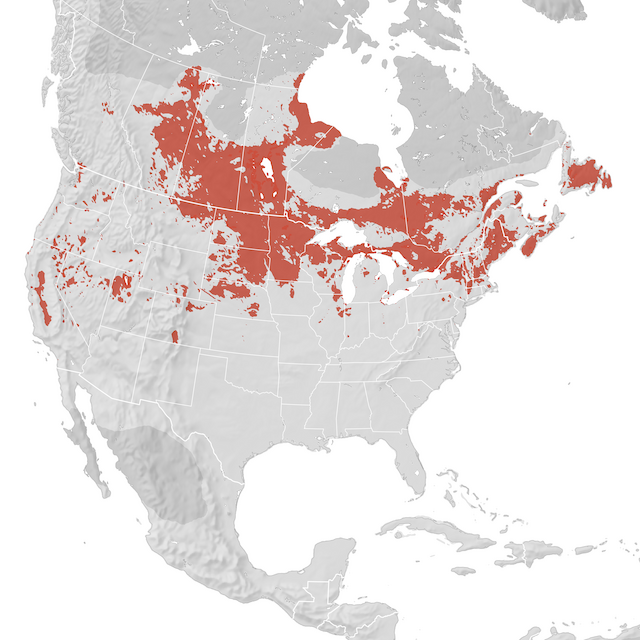Range Map