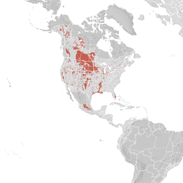 Range Map