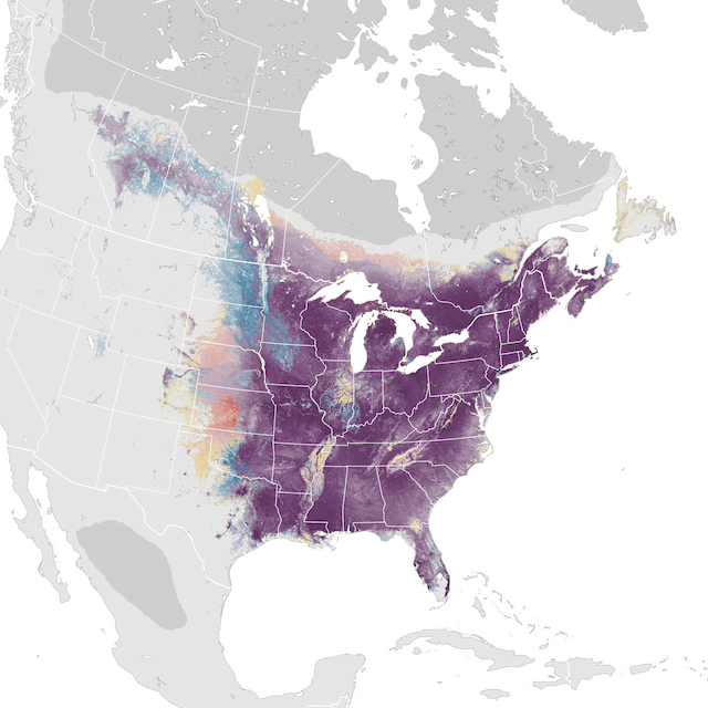 Abundance Map